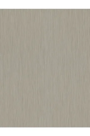 Dutch Wallcoverings Vliesbehang Uni Bruin 56511 Must-Have